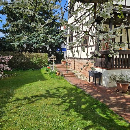 Apartments Am Saalebogen Mit Gartenterrasse, Grillkamin, Freie Parkplaetze Rudolstadt Bagian luar foto