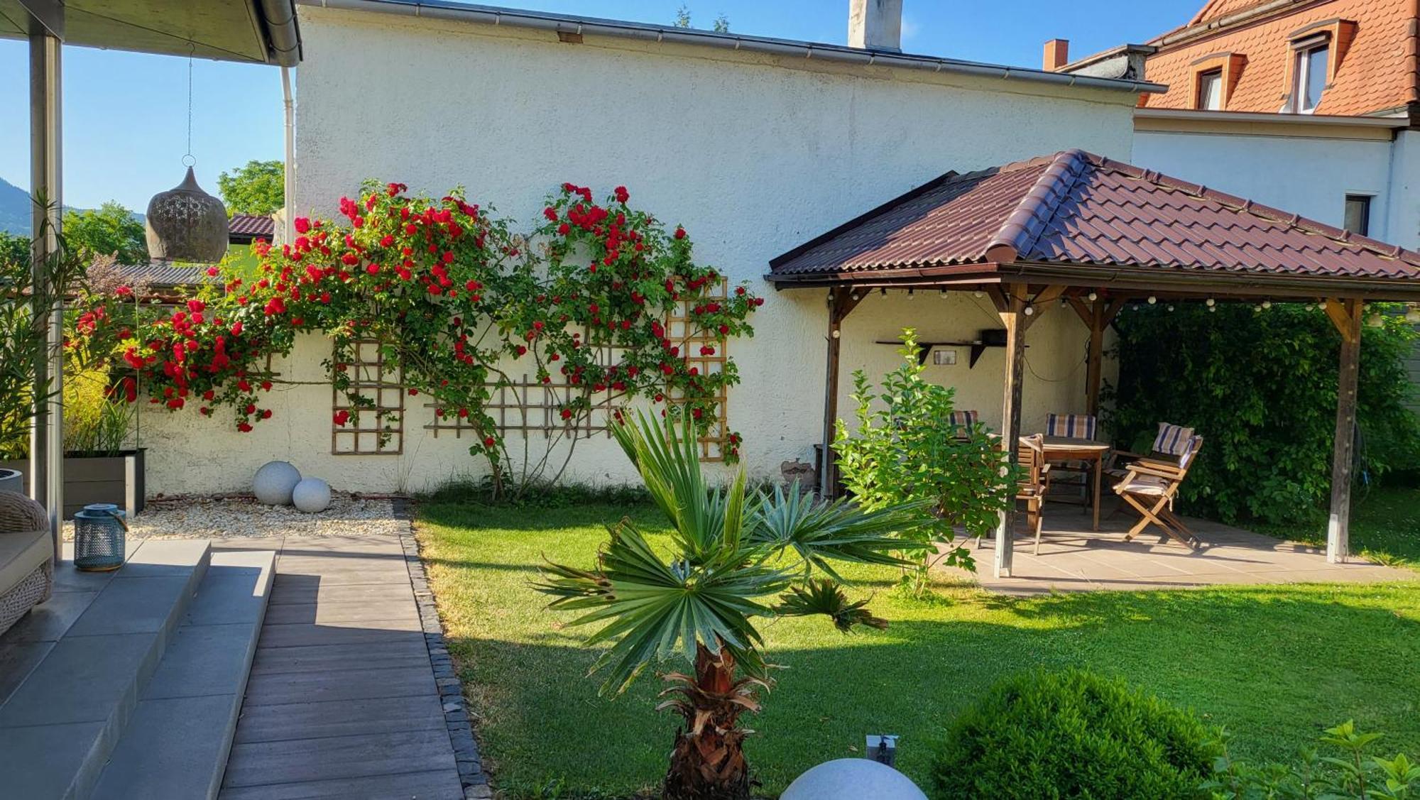 Apartments Am Saalebogen Mit Gartenterrasse, Grillkamin, Freie Parkplaetze Rudolstadt Bagian luar foto
